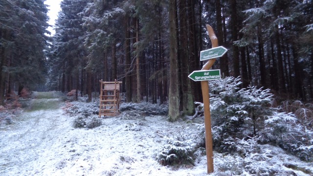 Winter, Schnee, Vesser, Wald, Wegweiser, Waldweg